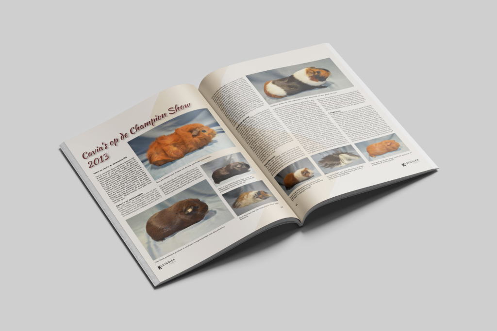 Home km cavia mockup